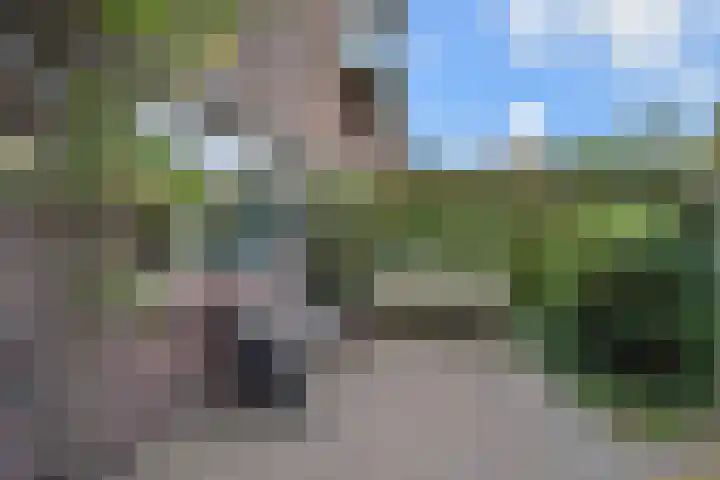 Ooievaarlaan 29 Den Haag thumbnail 6