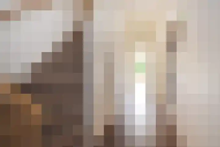 Ooievaarlaan 29 Den Haag thumbnail 8
