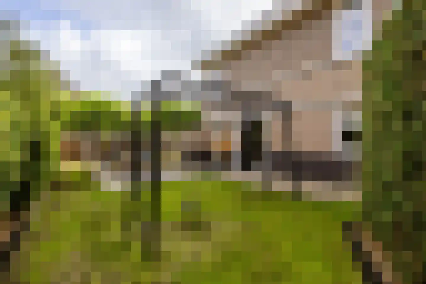 Ooievaarlaan 4 Heemstede thumbnail 13