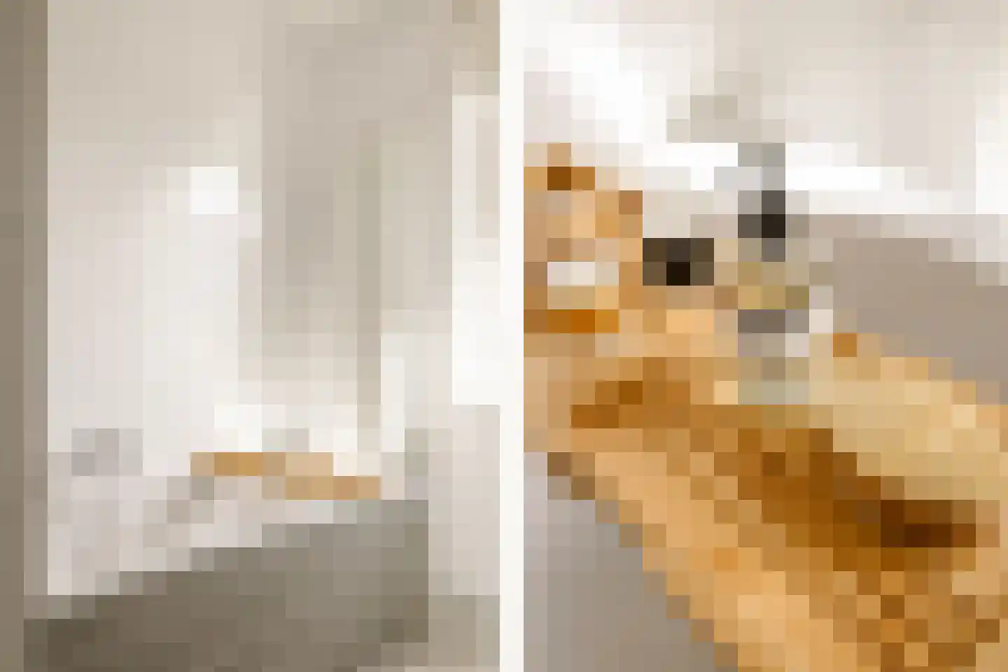 Ooievaarlaan 4 Heemstede thumbnail 23