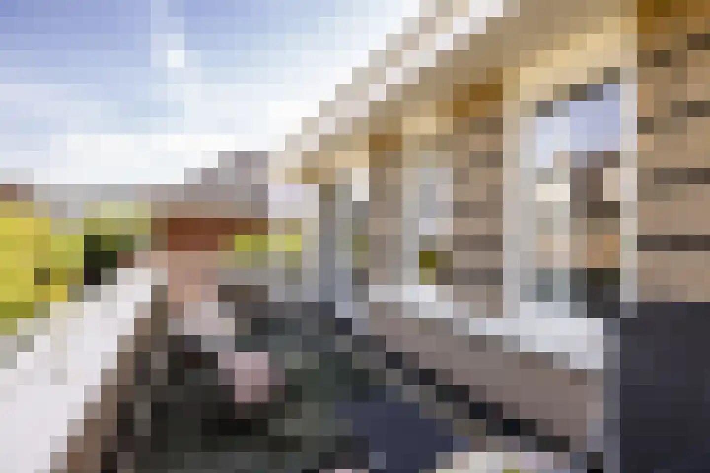 Ooievaarlaan 4 Heemstede thumbnail 29