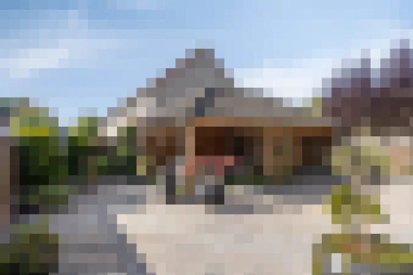 Ooievaarlaan 42 Apeldoorn thumbnail 14