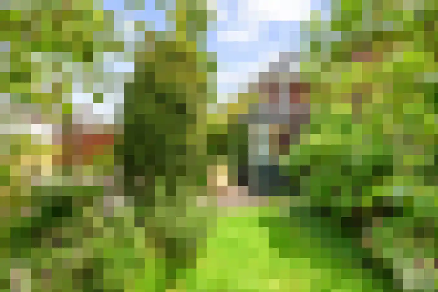 Ooievaarlaan 8 Heemstede thumbnail 31