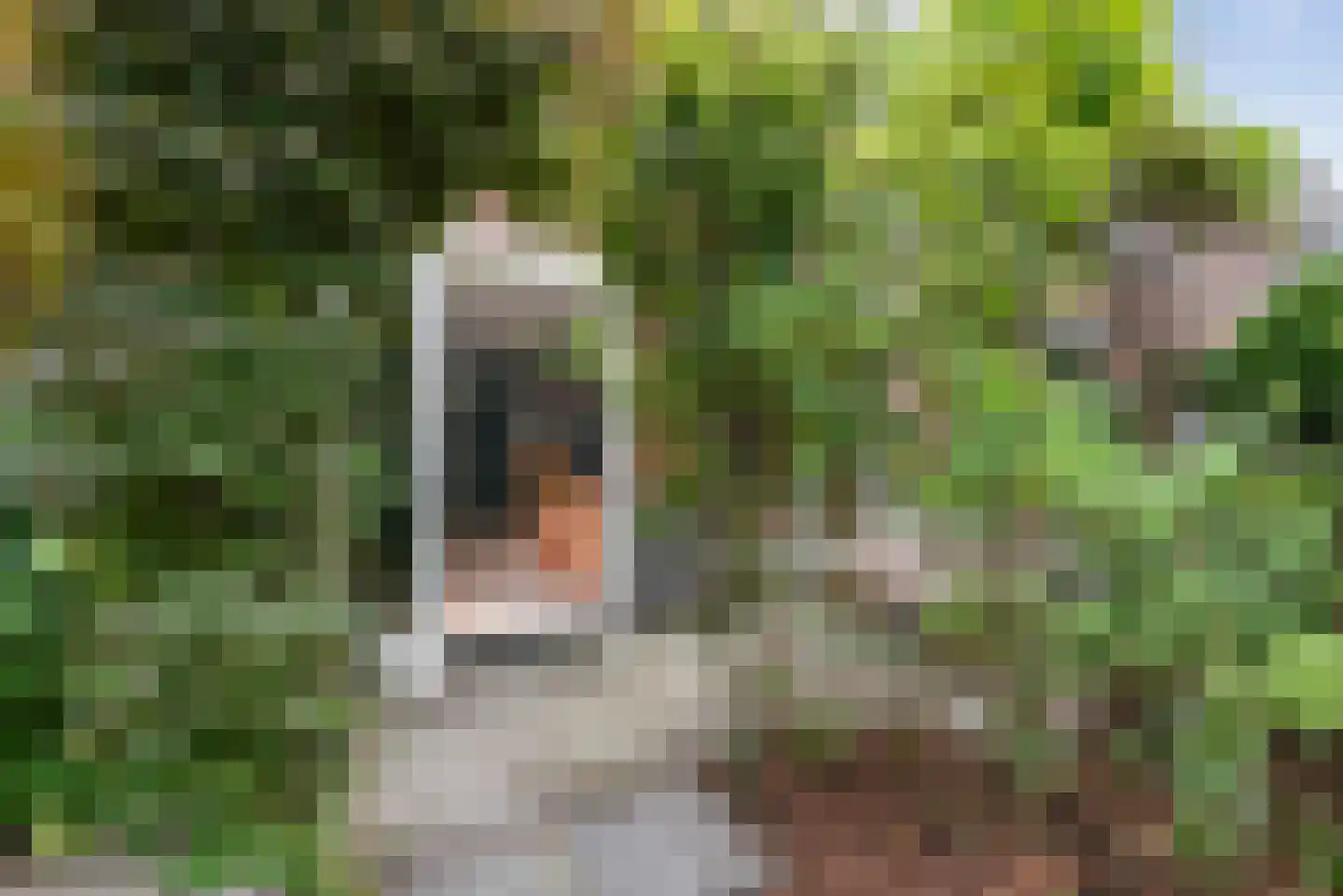Ooievaarlaan 8 Heemstede thumbnail 33