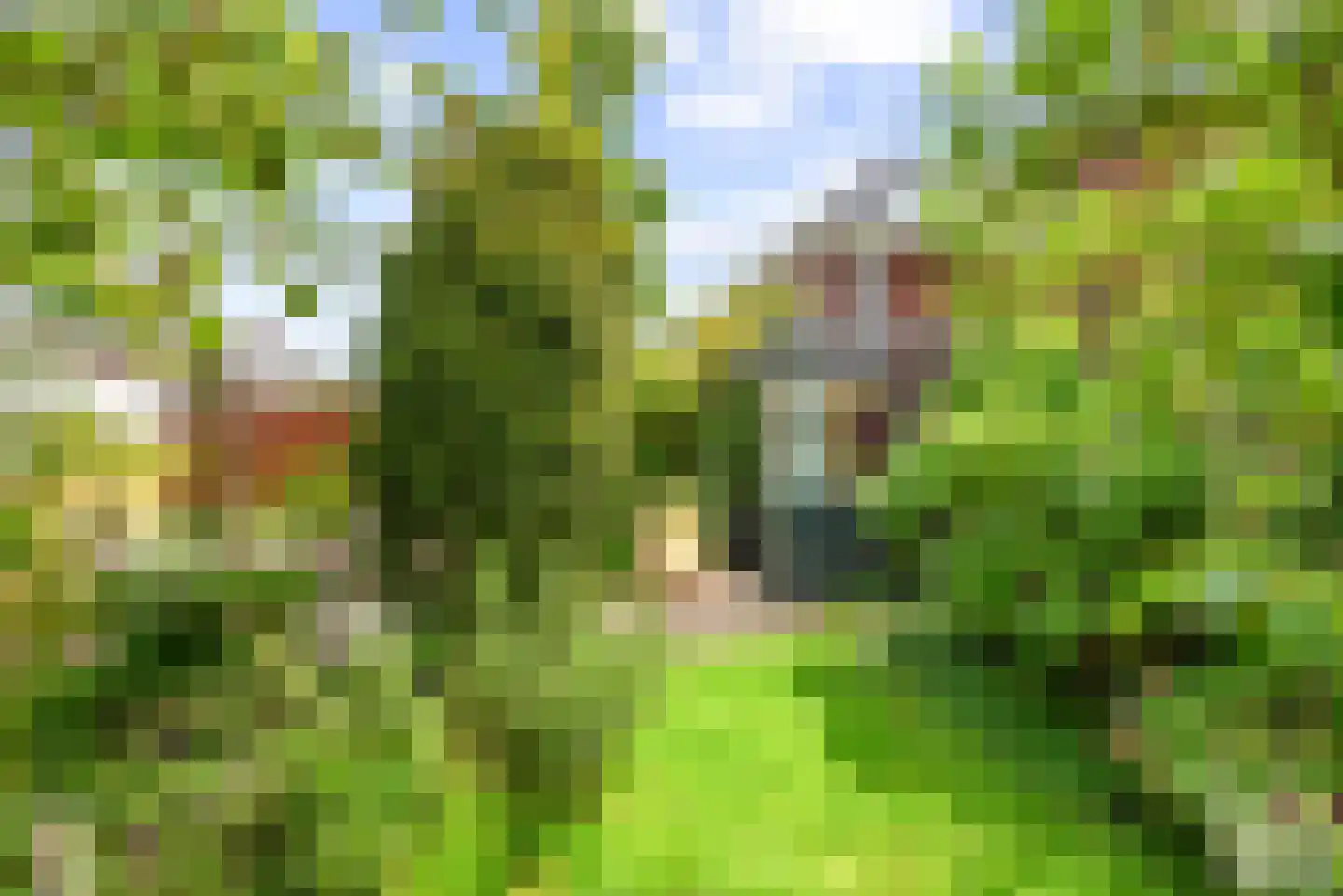 Ooievaarlaan 8 Heemstede thumbnail 34