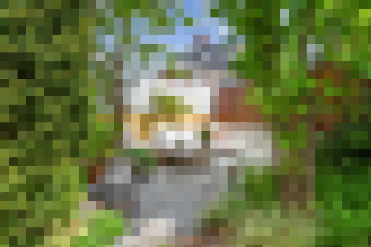 Ooievaarlaan 8 Heemstede thumbnail 37