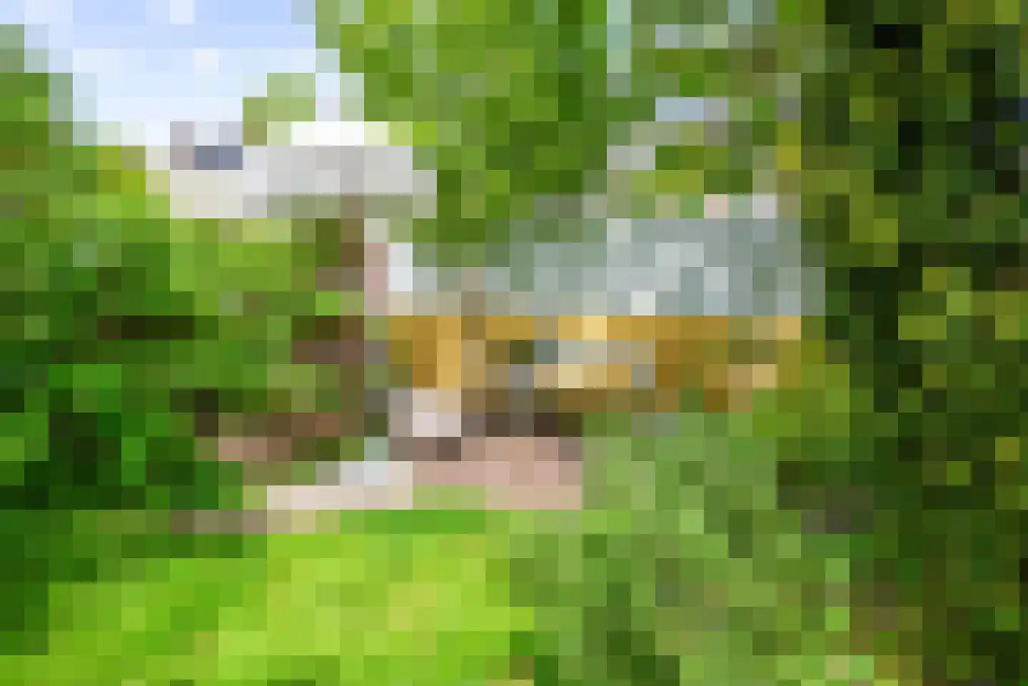 Ooievaarlaan 8 Heemstede thumbnail 4