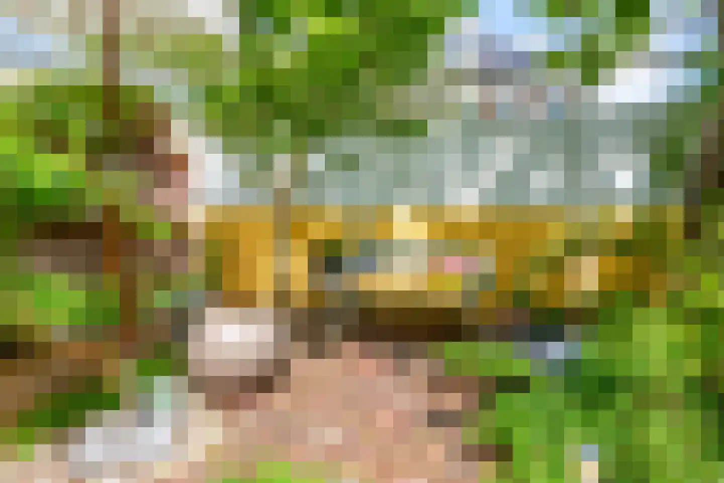 Ooievaarlaan 8 Heemstede thumbnail 40
