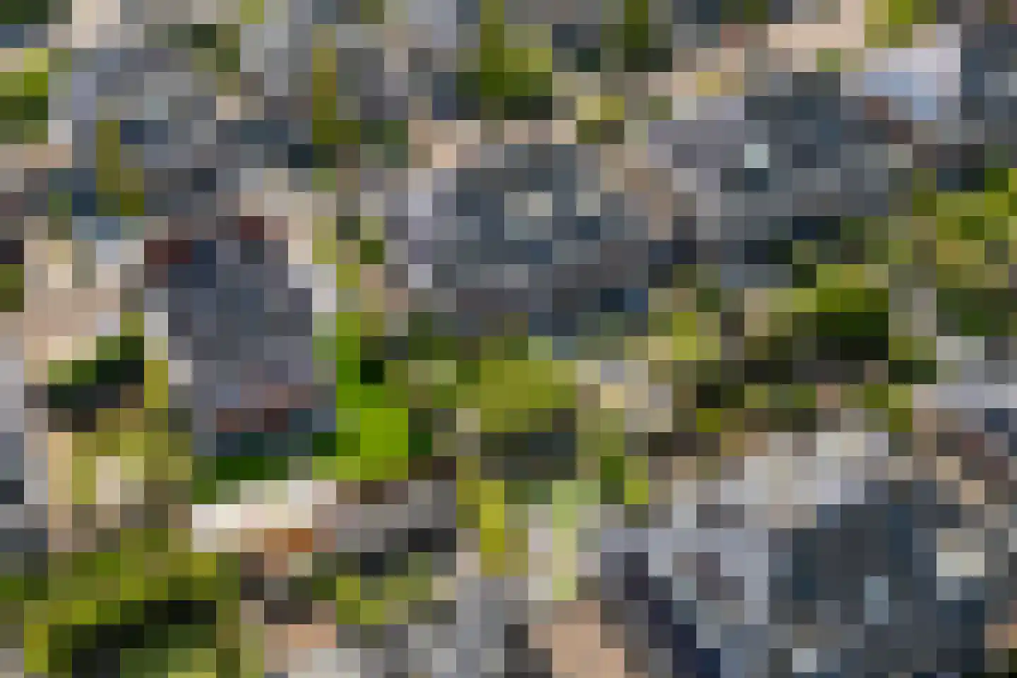 Ooievaarlaan 8 Heemstede thumbnail 44