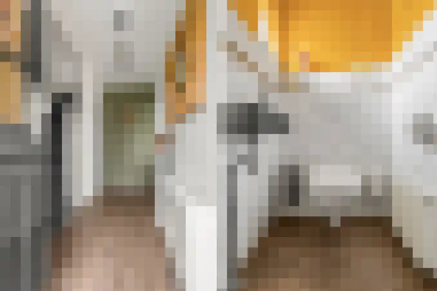Ooievaarlaan 8 Leerdam thumbnail 12