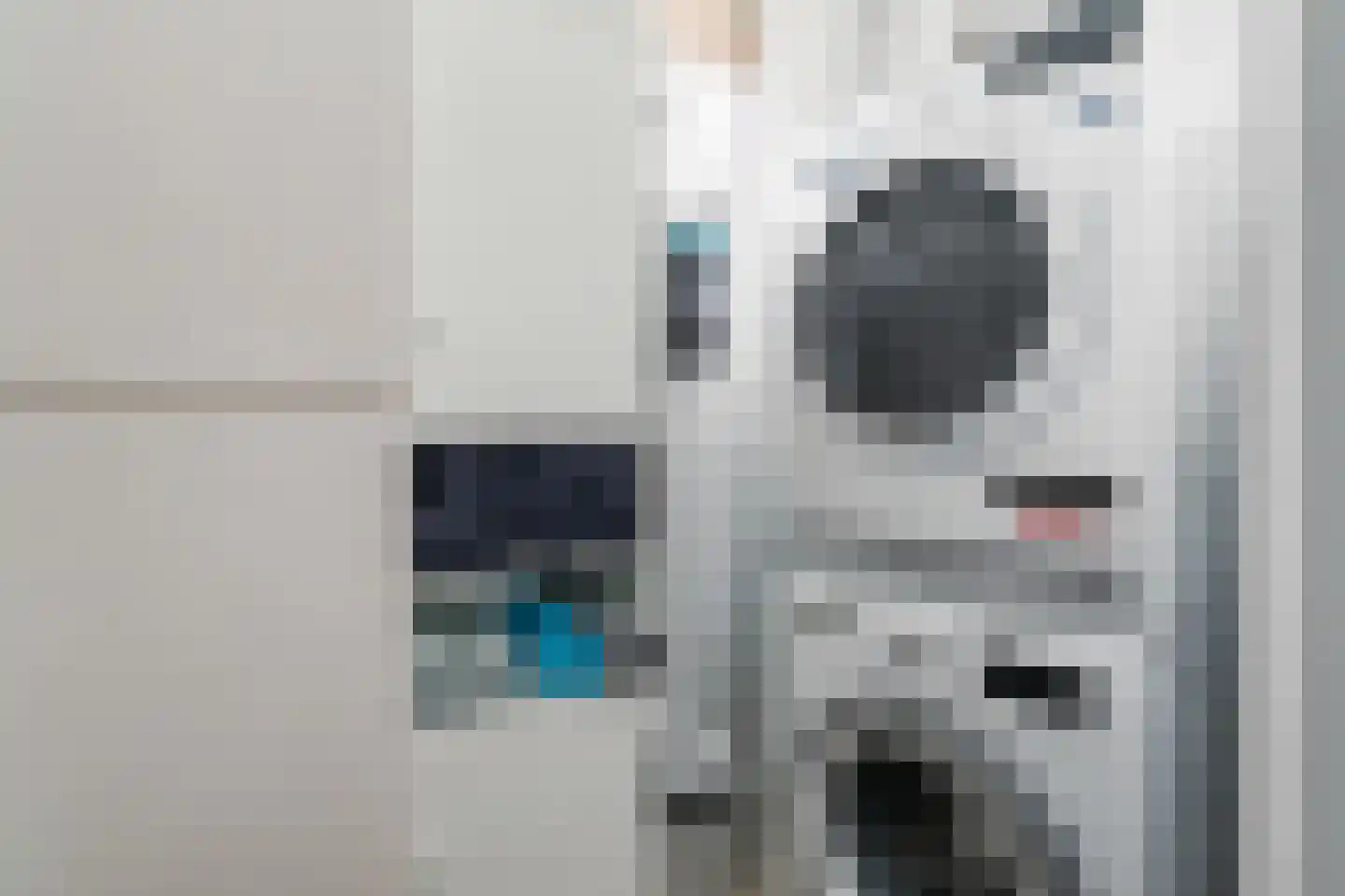 Ooievaarlaan 8 Leerdam thumbnail 20