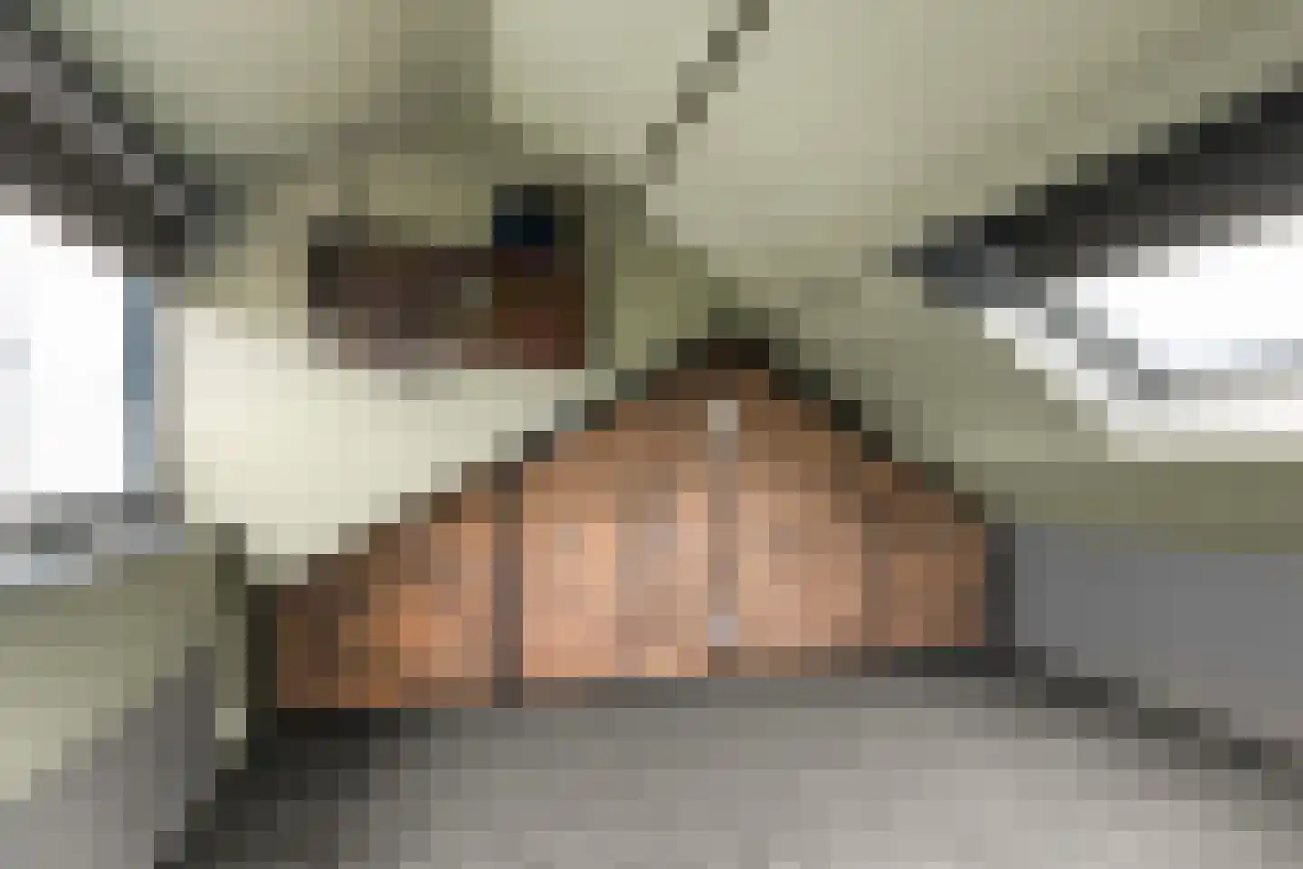 Ooievaarlaan 8 Leerdam thumbnail 25