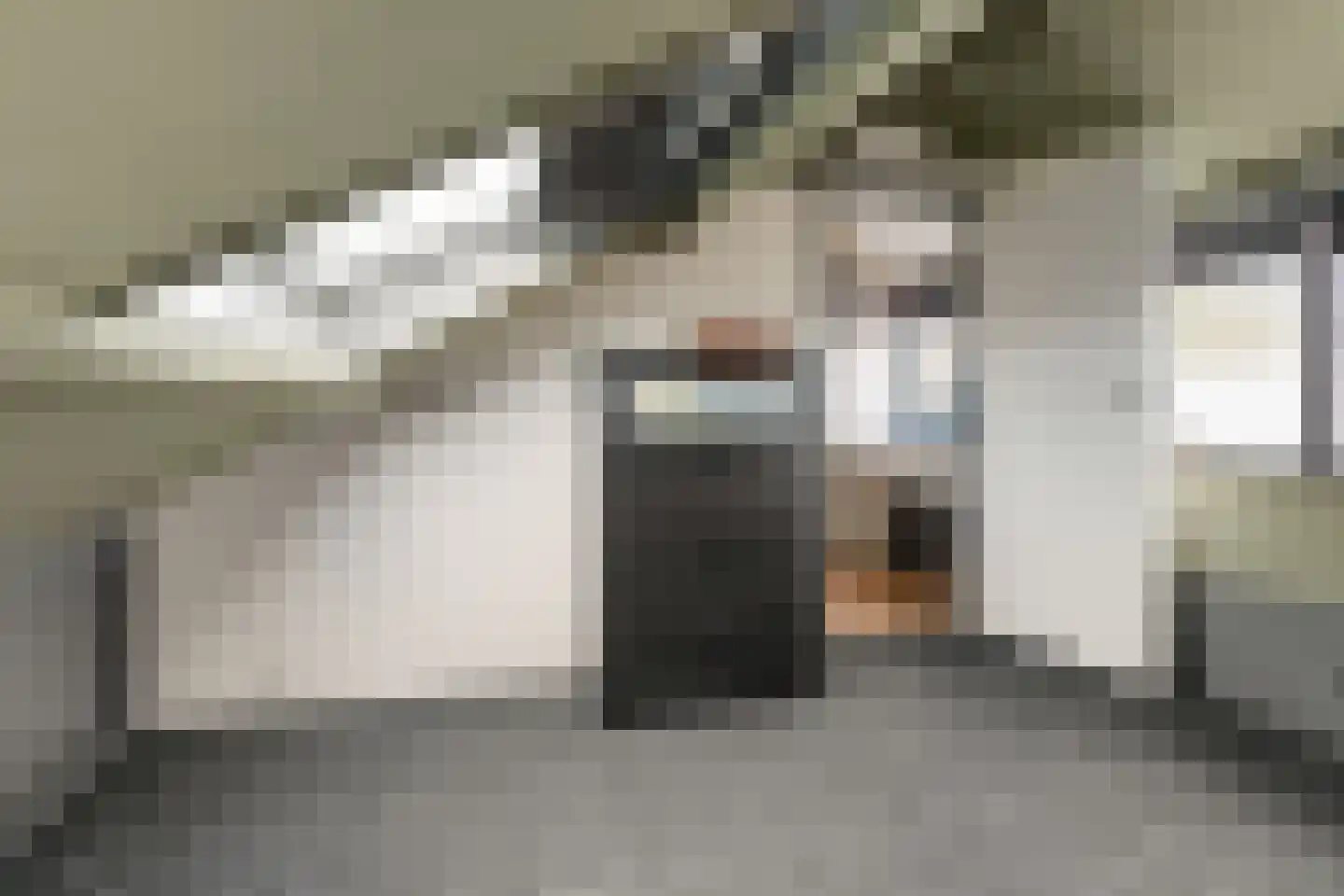 Ooievaarlaan 8 Leerdam thumbnail 26
