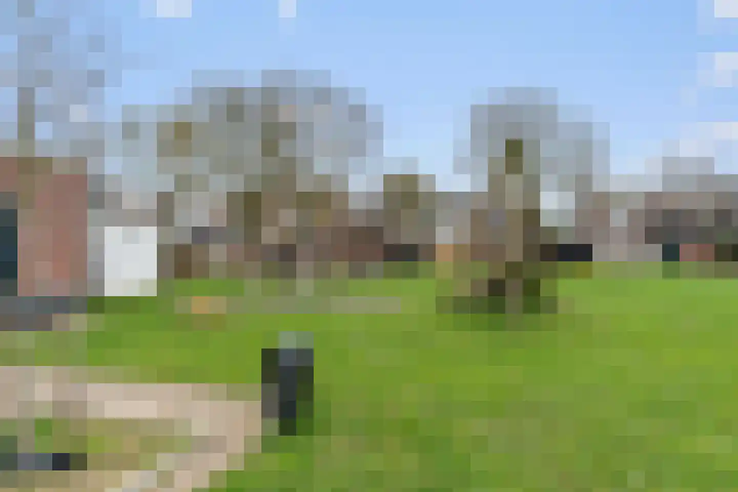 Ooievaarlaan 8 Leerdam thumbnail 34