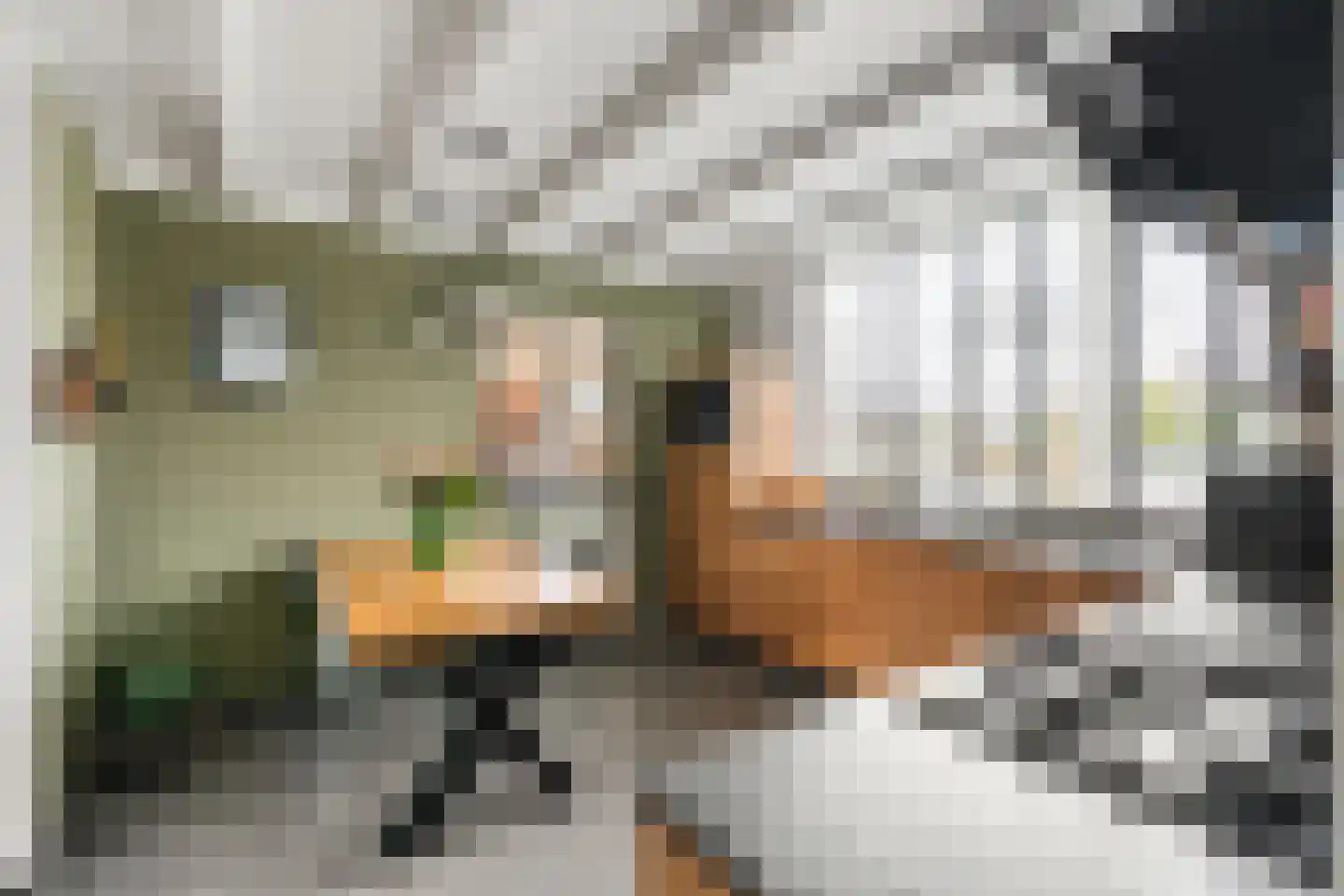 Ooievaarlaan 8 Leerdam thumbnail 4