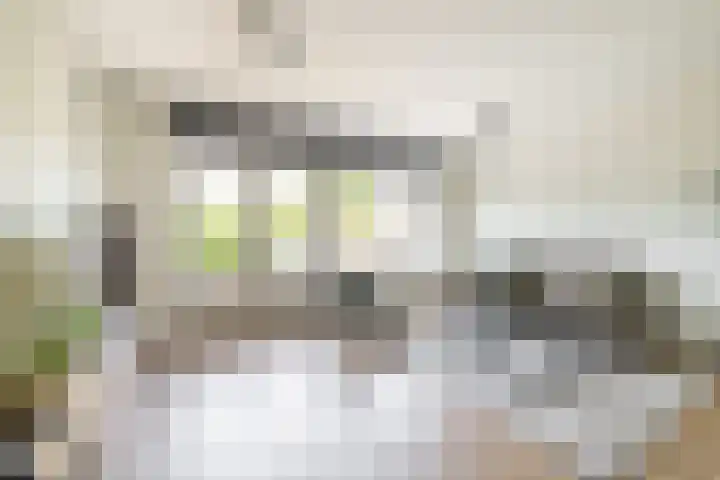 Ooievaarsbek 10 Purmerend thumbnail 10