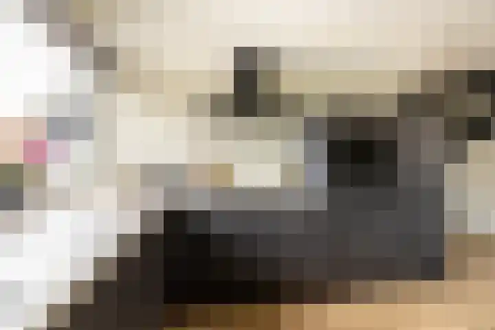 Ooievaarsbek 10 Purmerend thumbnail 20