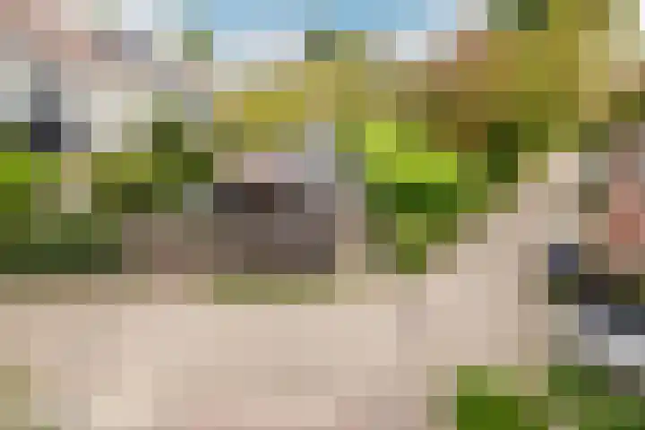 Ooievaarsbek 10 Purmerend thumbnail 28