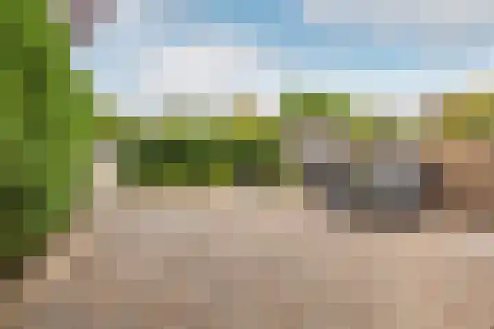 Ooievaarsbek 10 Purmerend thumbnail 38