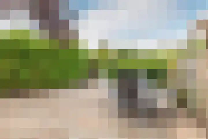 Ooievaarsbek 10 Purmerend thumbnail 39