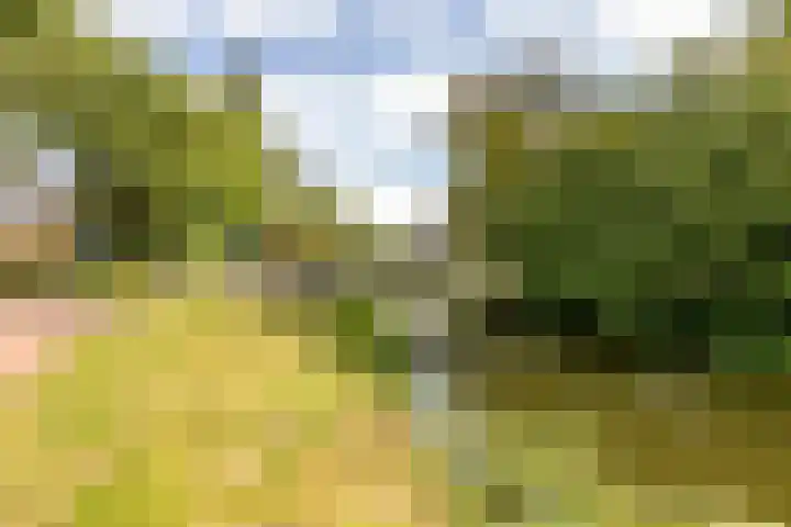 Ooievaarsbek 10 Purmerend thumbnail 43