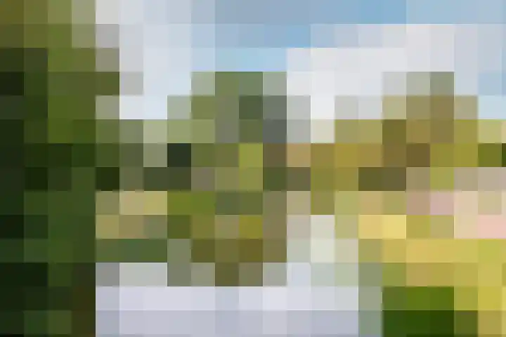 Ooievaarsbek 10 Purmerend thumbnail 44