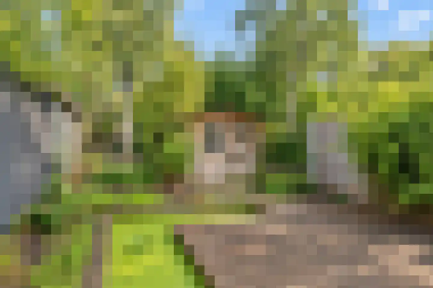 Ooievaarsbek 19 Purmerend thumbnail 11