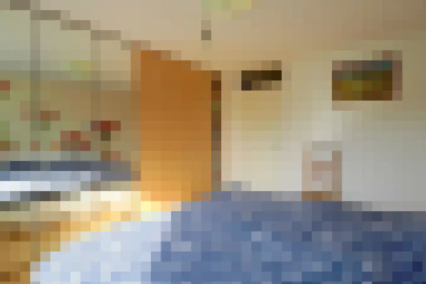 Ooievaarsbek 19 Purmerend thumbnail 28