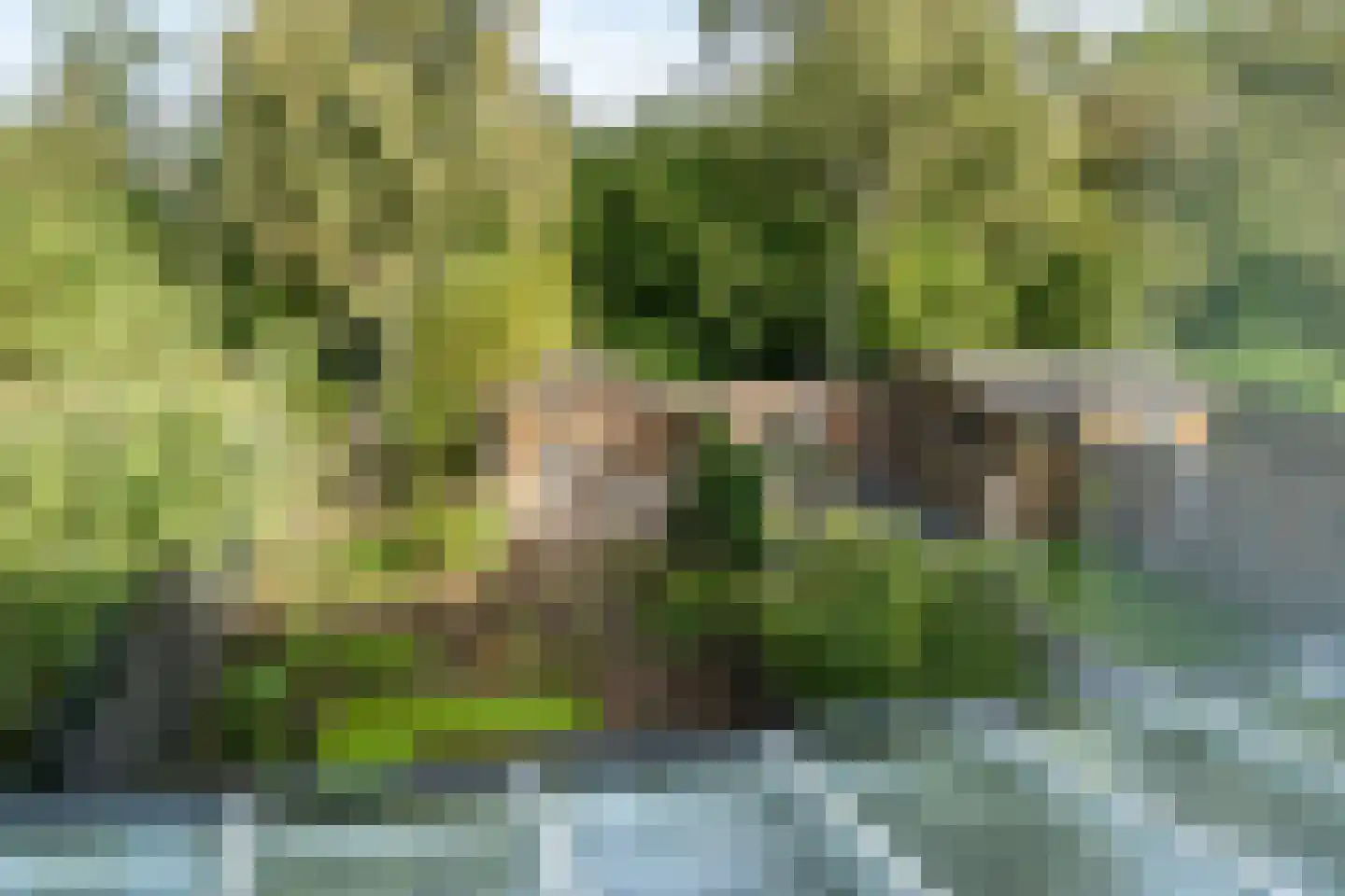 Ooievaarsbek 19 Purmerend thumbnail 34