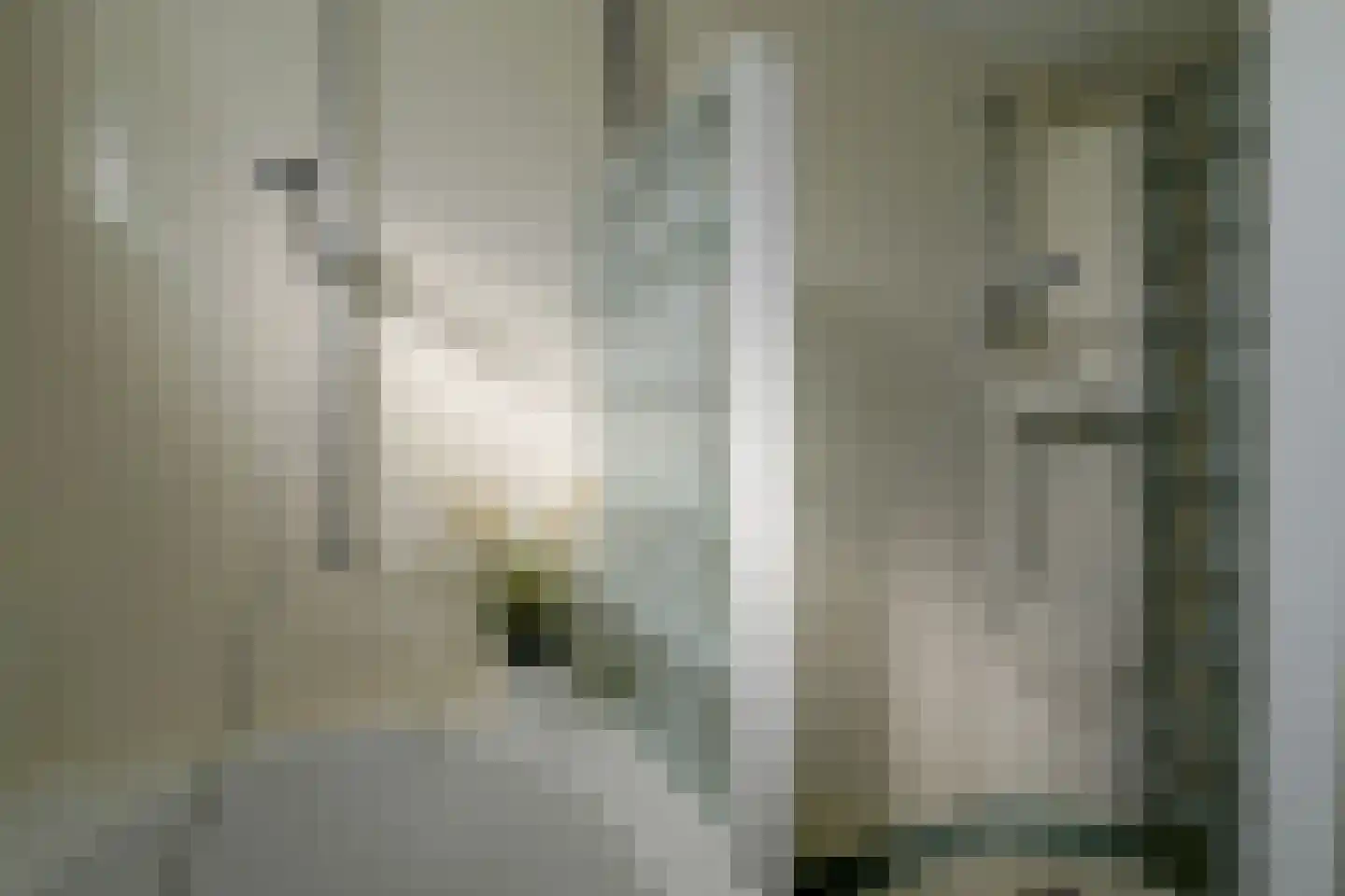 Ooievaarsbek 19 Purmerend thumbnail 38