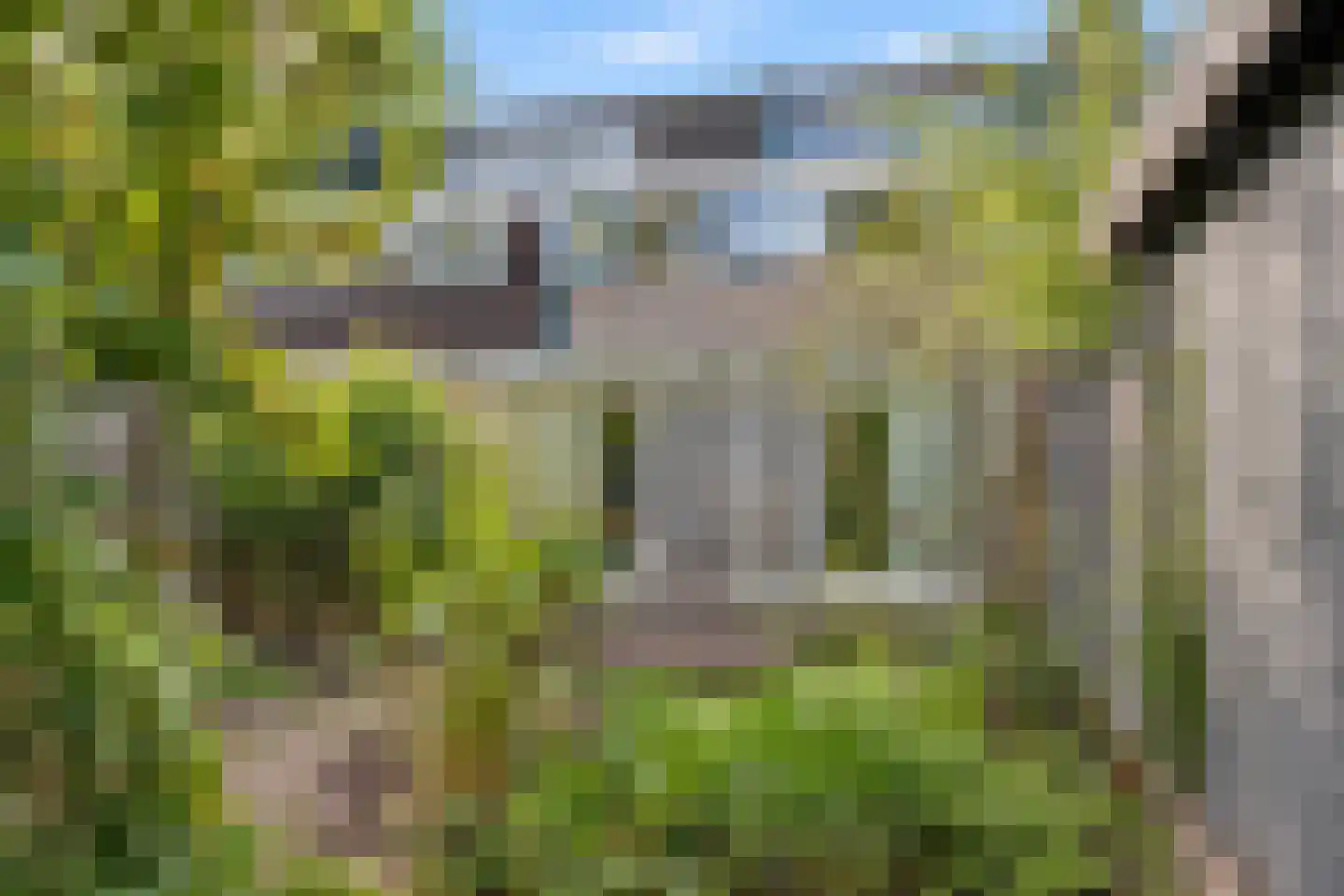 Ooievaarsbek 19 Purmerend thumbnail 47