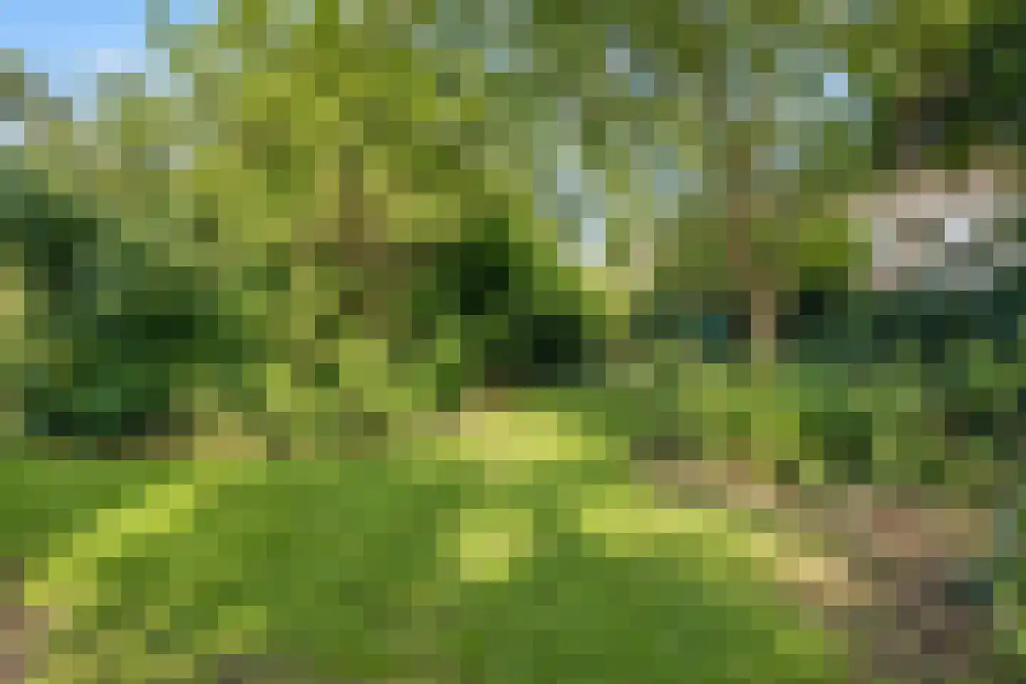 Ooievaarsbek 19 Purmerend thumbnail 51