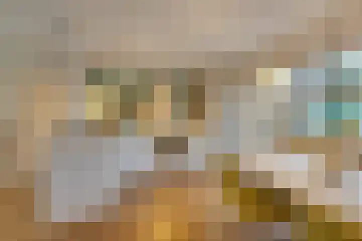Ooievaarsbek 24 Purmerend thumbnail 19