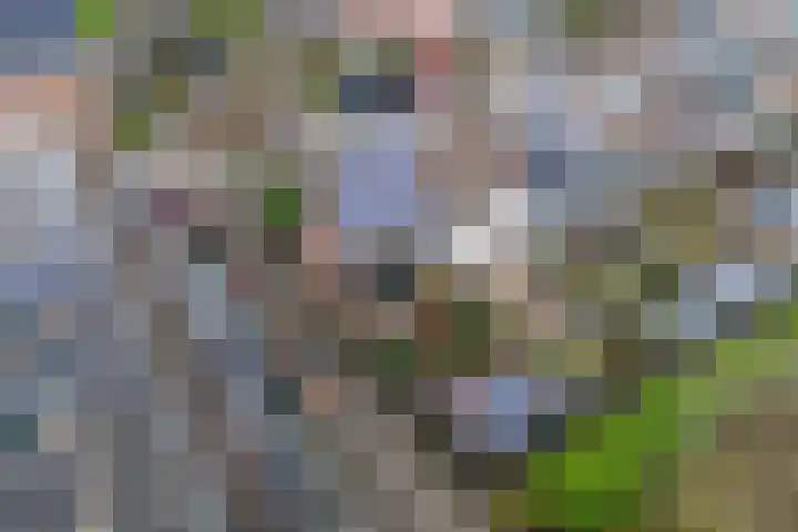 Ooievaarsbek 24 Purmerend thumbnail 27