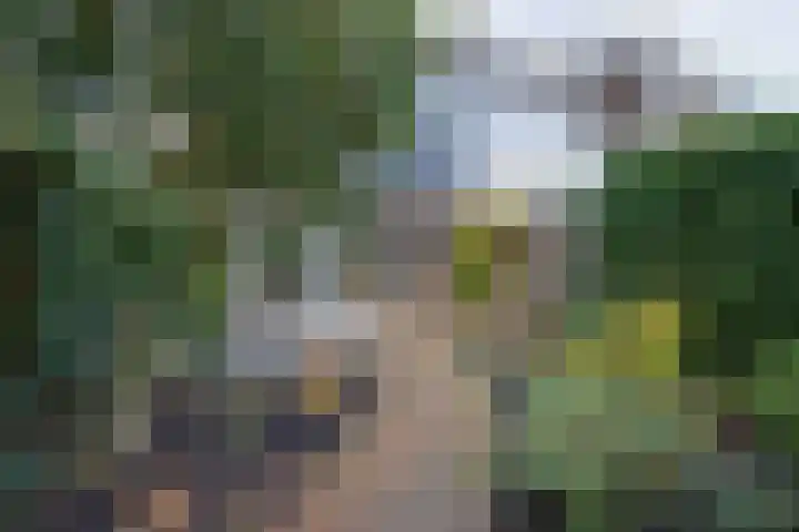 Ooievaarsbek 24 Purmerend thumbnail 28