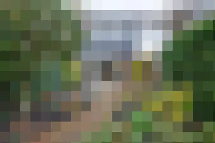 Ooievaarsbek 24 Purmerend thumbnail 29