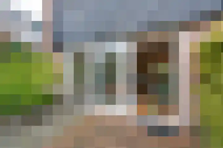 Ooievaarsbek 24 Purmerend thumbnail 30