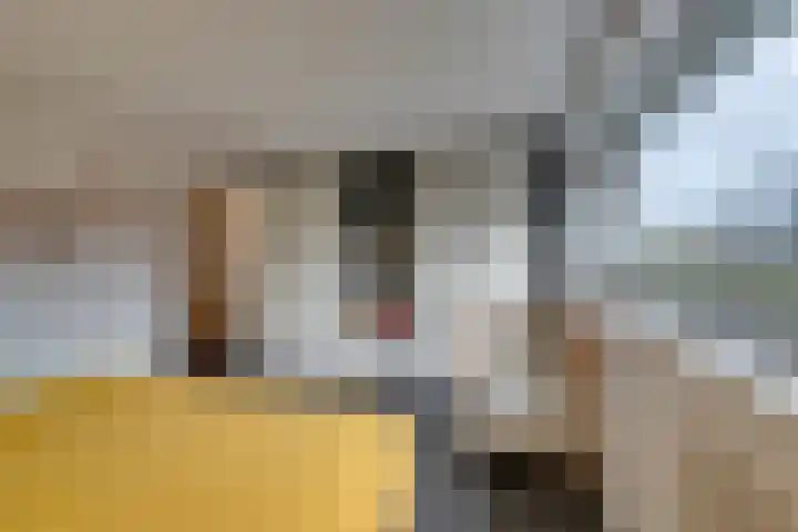 Ooievaarsbek 24 Purmerend thumbnail 35