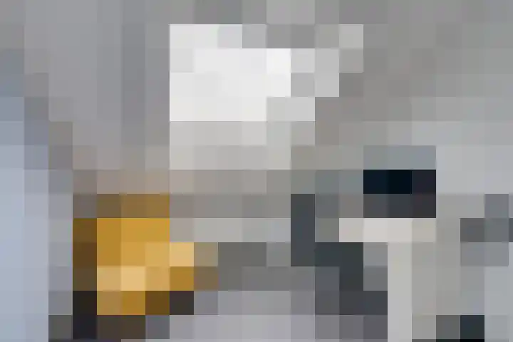 Ooievaarsbek 24 Purmerend thumbnail 38