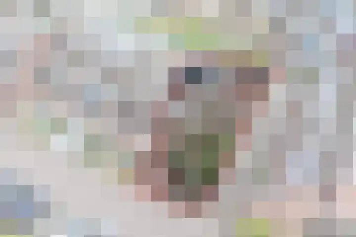 Ooievaarsbek 24 Purmerend thumbnail 4