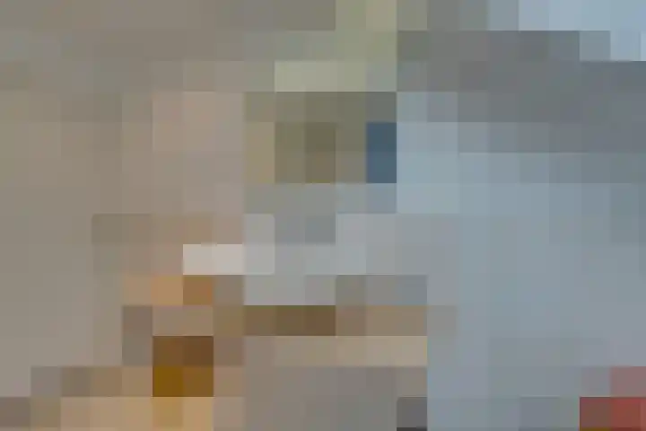 Ooievaarsbek 24 Purmerend thumbnail 42