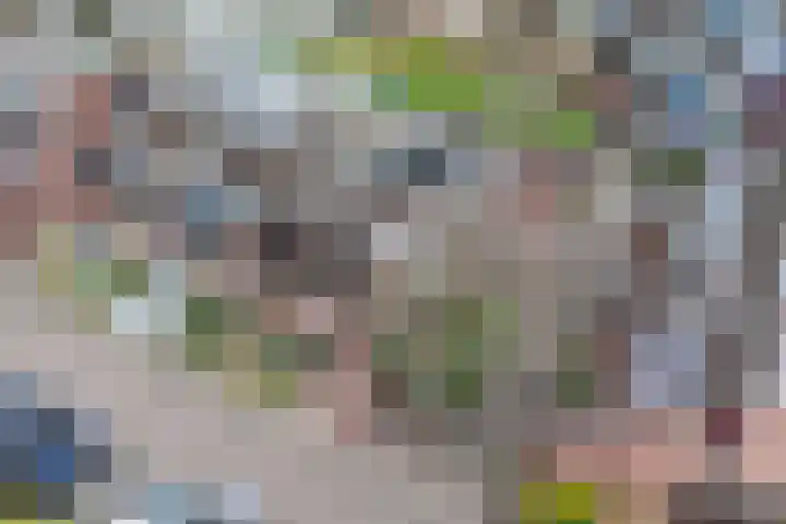 Ooievaarsbek 24 Purmerend thumbnail 49