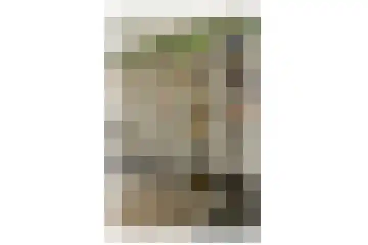 Ooievaarsbek 29 Purmerend thumbnail 13