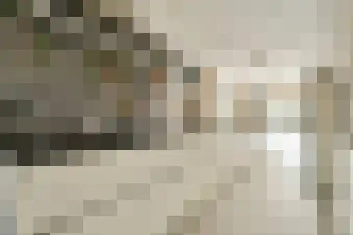 Ooievaarsbek 29 Purmerend thumbnail 14