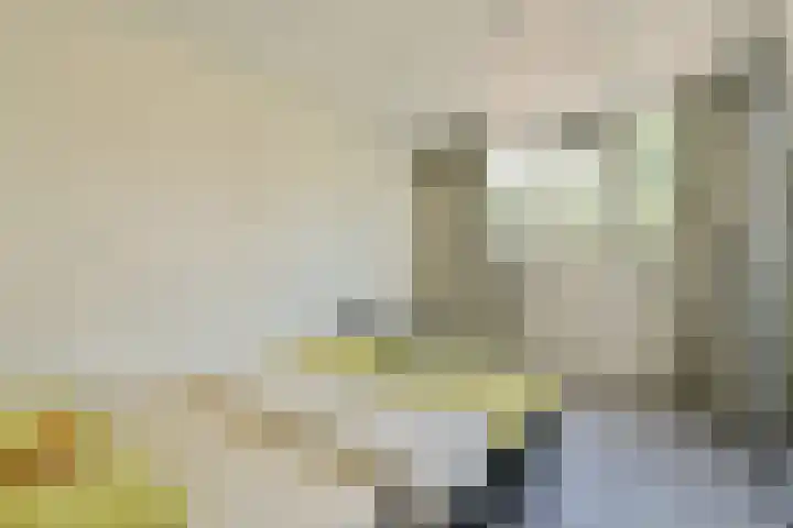 Ooievaarsbek 29 Purmerend thumbnail 18