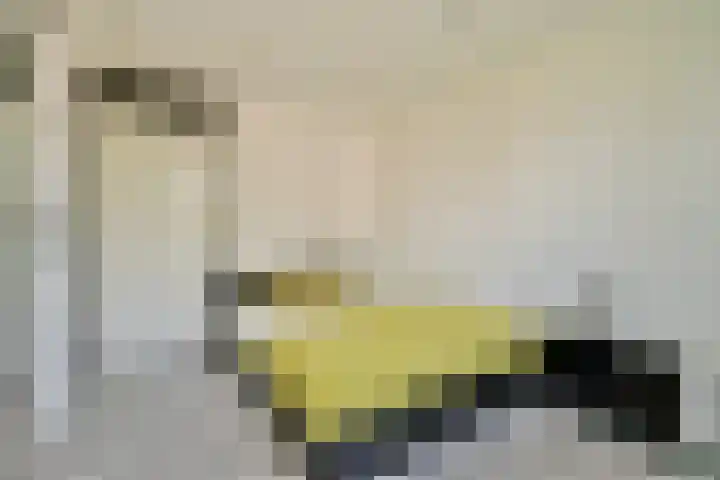 Ooievaarsbek 29 Purmerend thumbnail 19