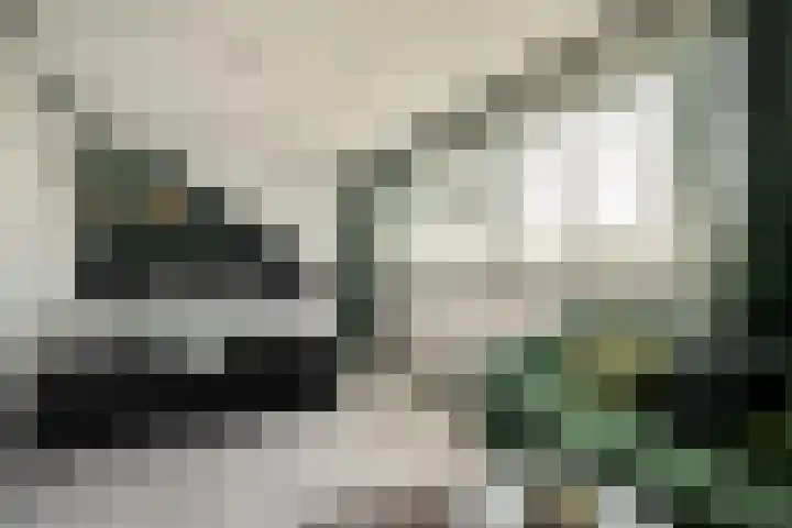 Ooievaarsbek 29 Purmerend thumbnail 26