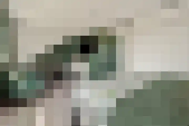 Ooievaarsbek 29 Purmerend thumbnail 27