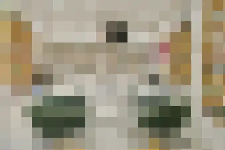 Ooievaarsbek 29 Purmerend thumbnail 28