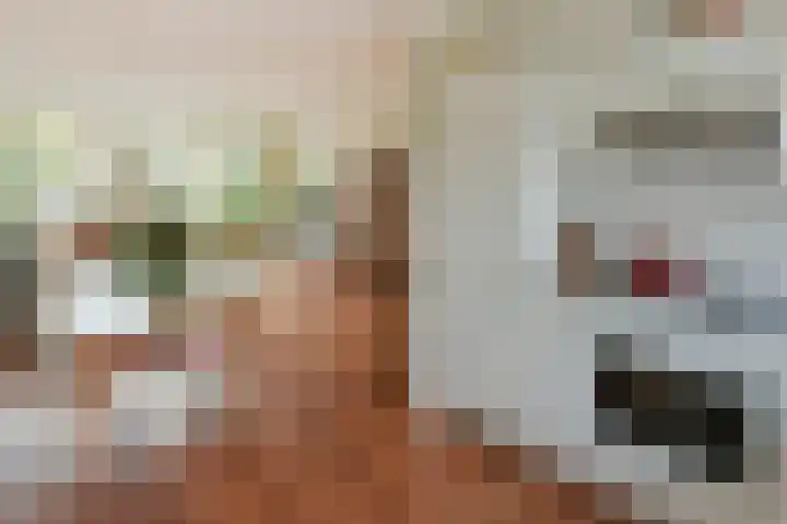 Ooievaarsbek 40 Breukelen thumbnail 10